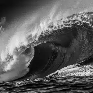 B&W ©Romuald Pliquet, Photographer