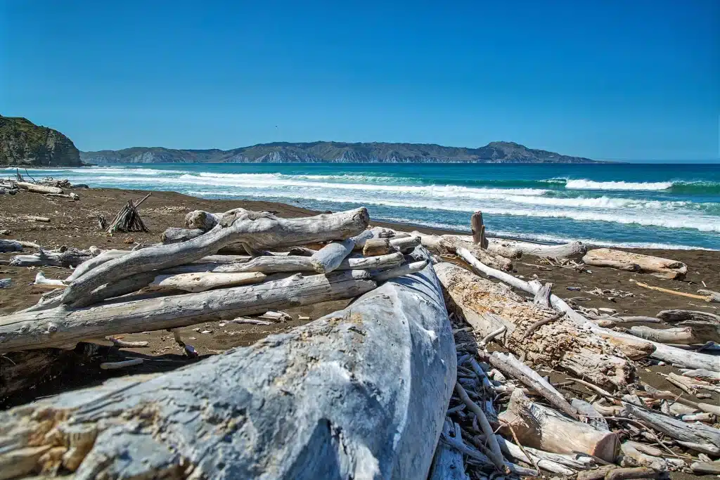 Coastal surf image ©Romuald Pliquet, Photographer