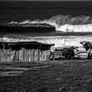 B&W ©Romuald Pliquet, Photographer