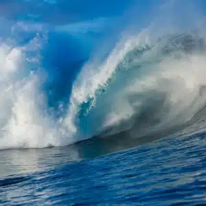 ©Romuald Pliquet, Photographer