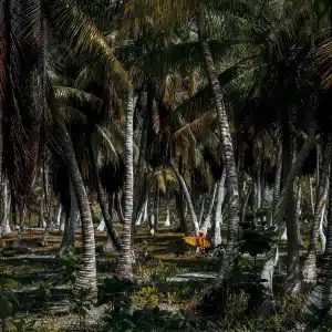 ©Romuald Pliquet, Photographer