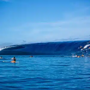 ©Romuald Pliquet, Photographer