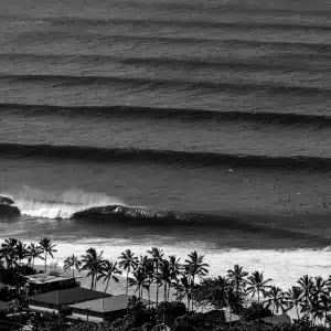 B&W ©Romuald Pliquet, Photographer