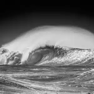 B&W ©Romuald Pliquet, Photographer