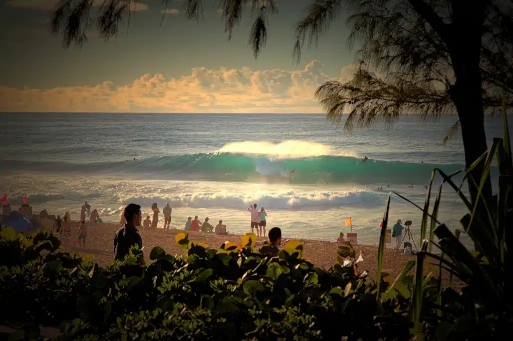 Golden Hour ©Romuald Pliquet, Photographer