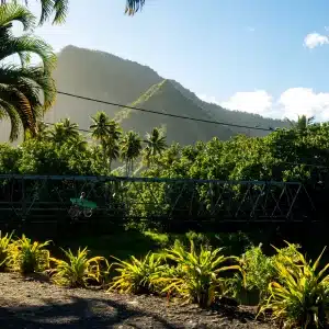 ©Romuald Pliquet, Photographer