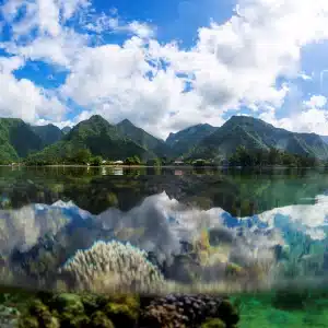 ©Romuald Pliquet, Photographer