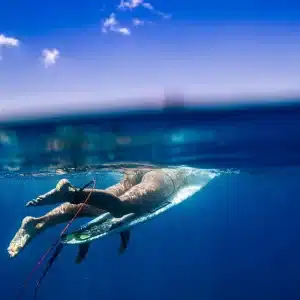 ©Romuald Pliquet, Photographer