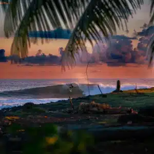 ©Romuald Pliquet, Photographer